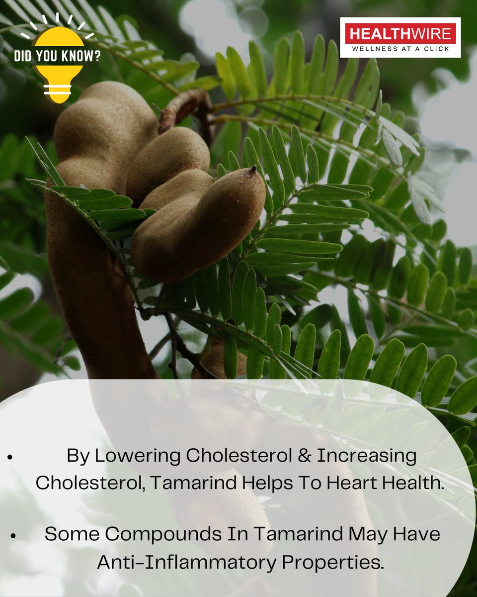 #didyouknow Tamarind Helps to Control Cholesterol levels in body, due to antioxidants and polyphenols.

#tamarind #tamarindbenefits #cholesterol #cholesterolcontrol #healthbenefits #healthwire