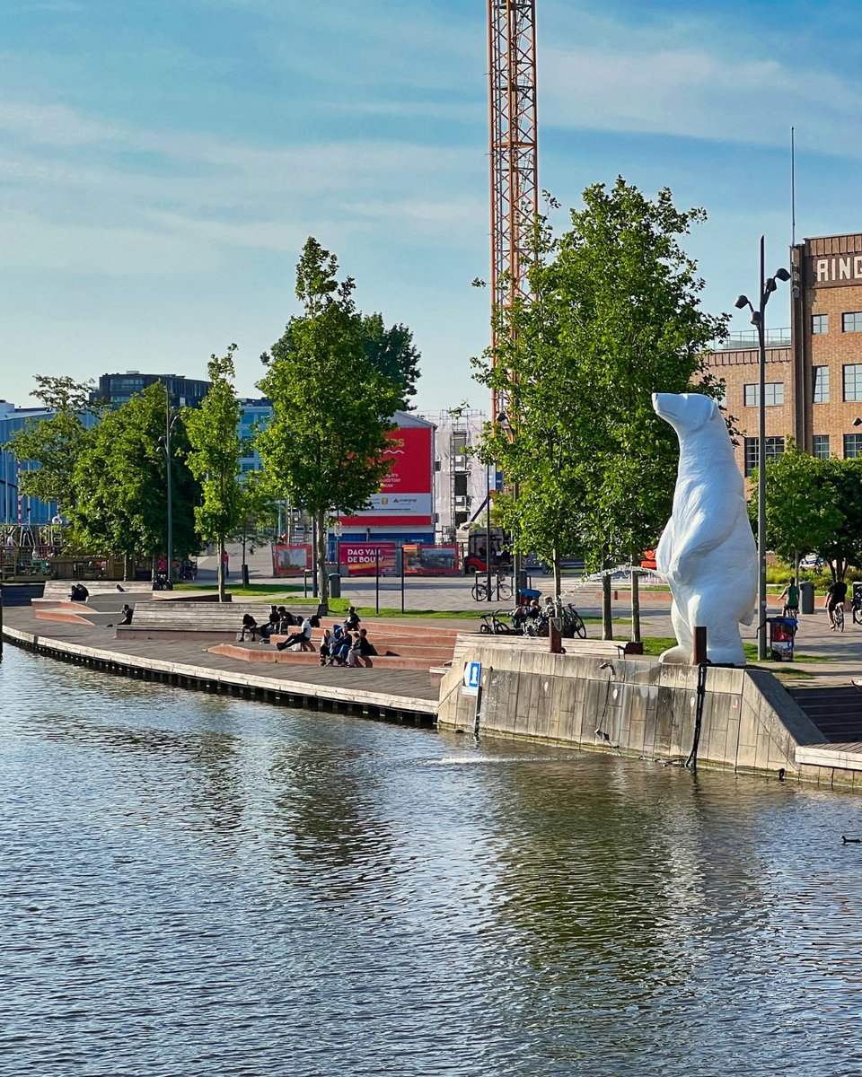 Het spetterende protest van De Pissende IJsbeer. Het klimaat warmt rap op, natuur verdwijnt en onze omgeving vervuilt, ten koste van dieren (en de mens). Maar dringt het echt door? Het kunstwerk van Hofman doet een poging. #Alkmaar #Klimaat #PvdD #Dier #Natuur #Milieu