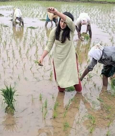 kissan_pakistan's tweet photo. #بریانی کے ذائقہ میں #کسان کا خون پسینہ شامل ھوتا ھے  ۔ https://t.co/QoaefPilKA