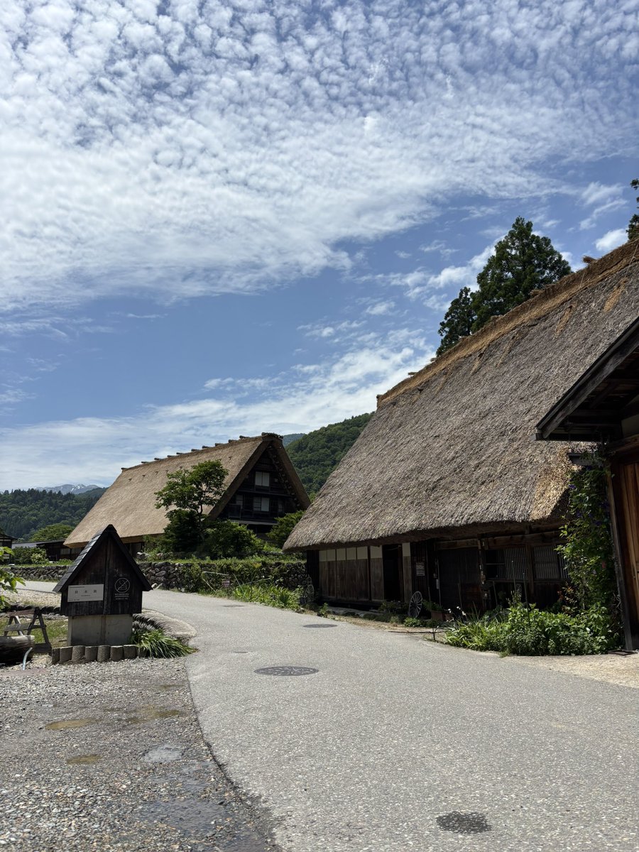 白川郷
並んでるの海外の方ばかりw