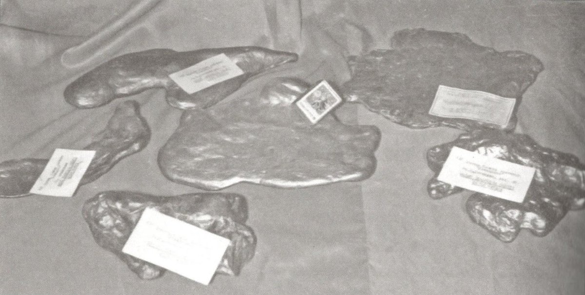 goldmapinfo's tweet photo. Gold nuggets from the Bodaybo district. Maximum weight: 12,360 grams. Found in Mine No. 46, on the Bolshoy (Right) Dogaldyn River. Mid-20th century, USSR, Irkutsk Region.
From the book by N.N. Mungalov "Lena Goldfields", Vol. 2. https://t.co/usuyQIRlHP