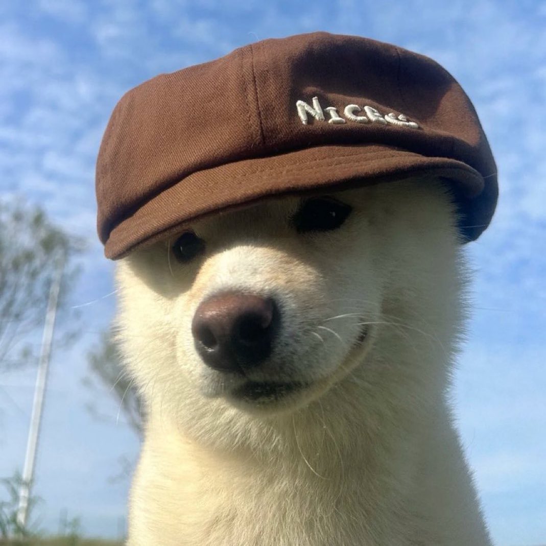 𝑵𝑶𝑵𝑨𝑴𝑬 (@jenoname423) on Twitter photo 