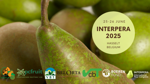 Interpera tweet media