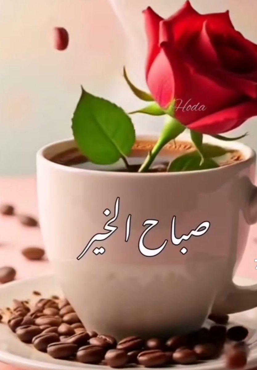 صباح جميل ك جمال قلوبكم يزرع الأمل في قلوبكم ونفوسكم...بأن القادم أجمل إن شاء اللّه....