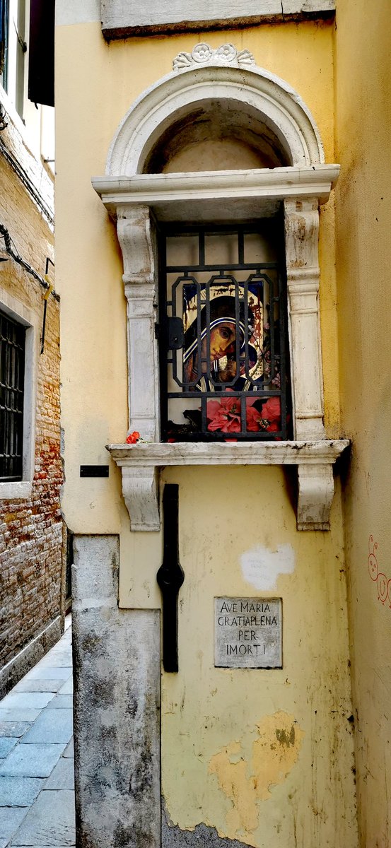 Aria Luce  tweet media