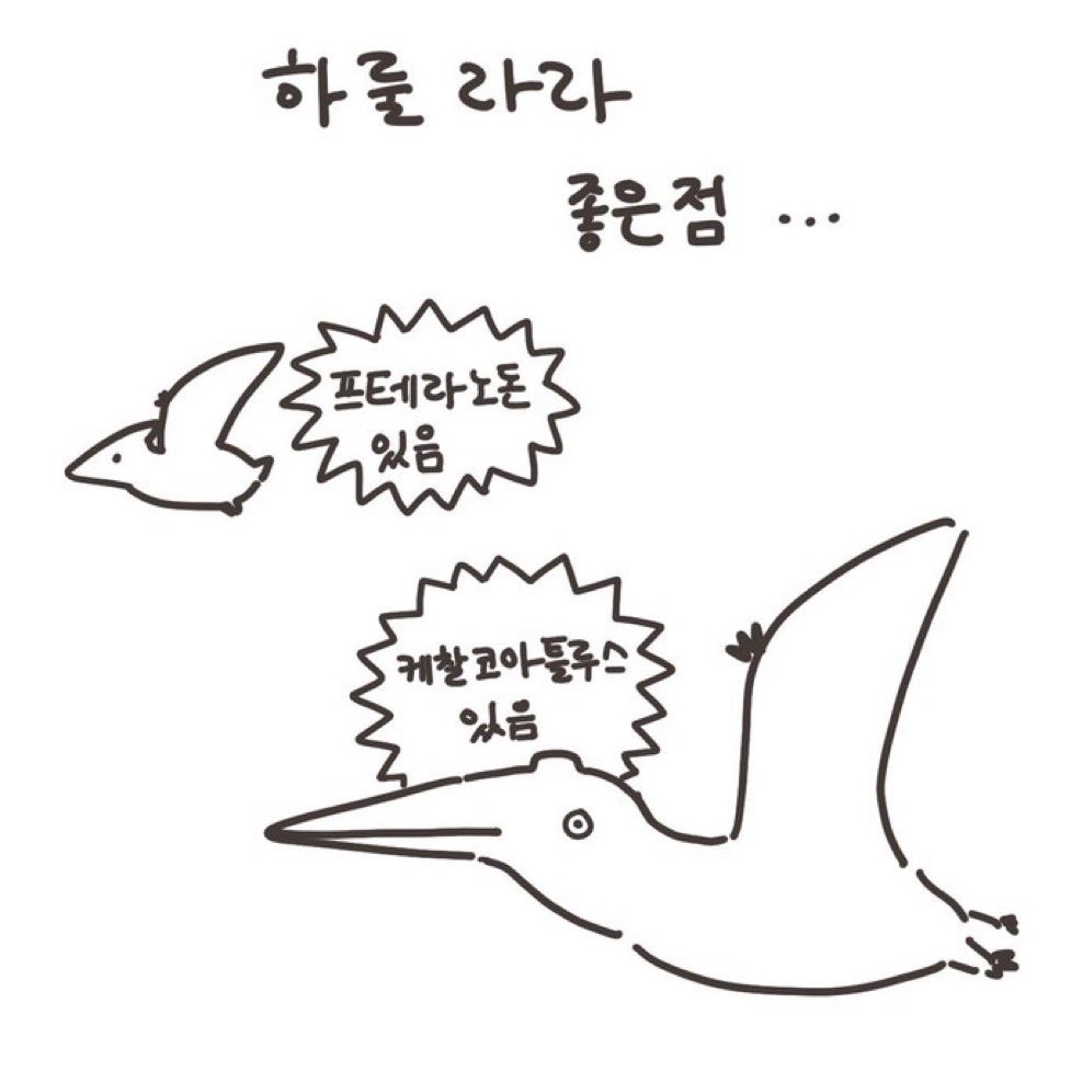 🇺🇸 티렉스 티셔츠 자랑하고 싶었더요