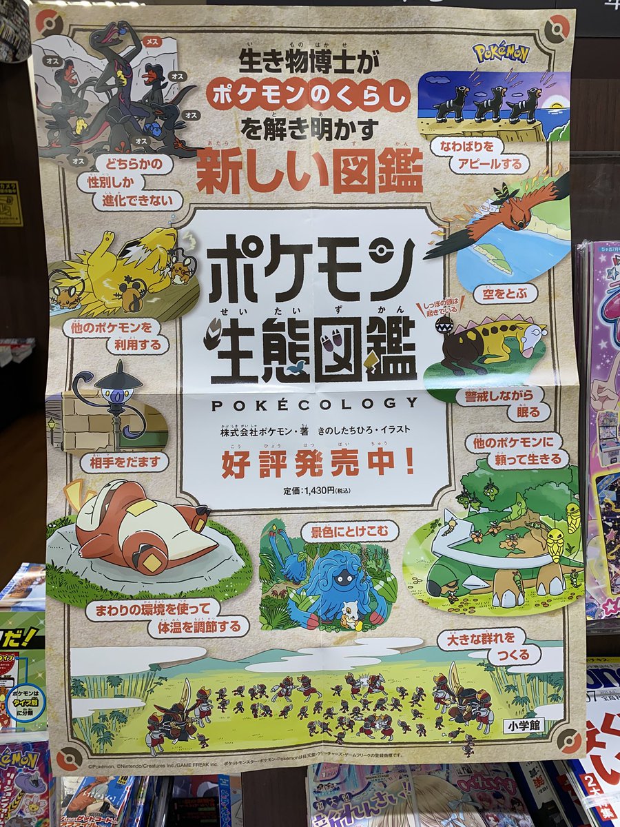 発売前から話題沸騰‼️ #ポケモン生態図鑑 入荷しました！ 新たな視点