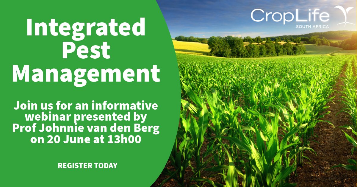 📣 Join Us for an Expert Webinar! 🌱

🕵️‍♂️ Topic: Integrated Pest Management
🎤 Presenter: Prof Johnnie van den Berg (North-West University)
📅 Date: 20 June 2025
⏰ Time: 13h00 (SAST)
🔗 Register Now: Click here to secure your spot events.teams.microsoft.com/event/0e4227b9…