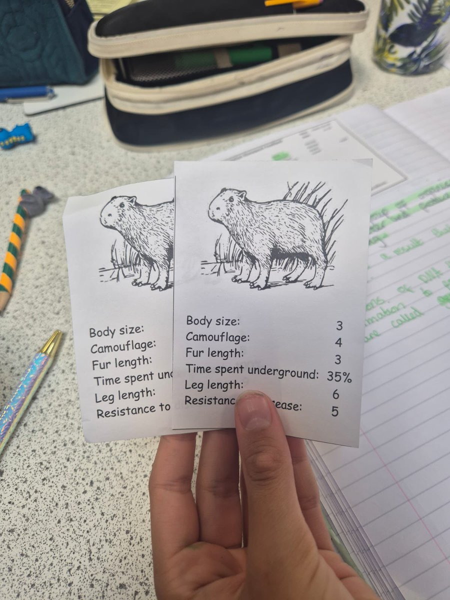 Millais_Science's tweet photo. How do species survive a changing environment? #MillaisYear7 played capybara top trumps to model natural selection. #MillaisCreativity #MillaisScience https://t.co/b0g9nivjxB