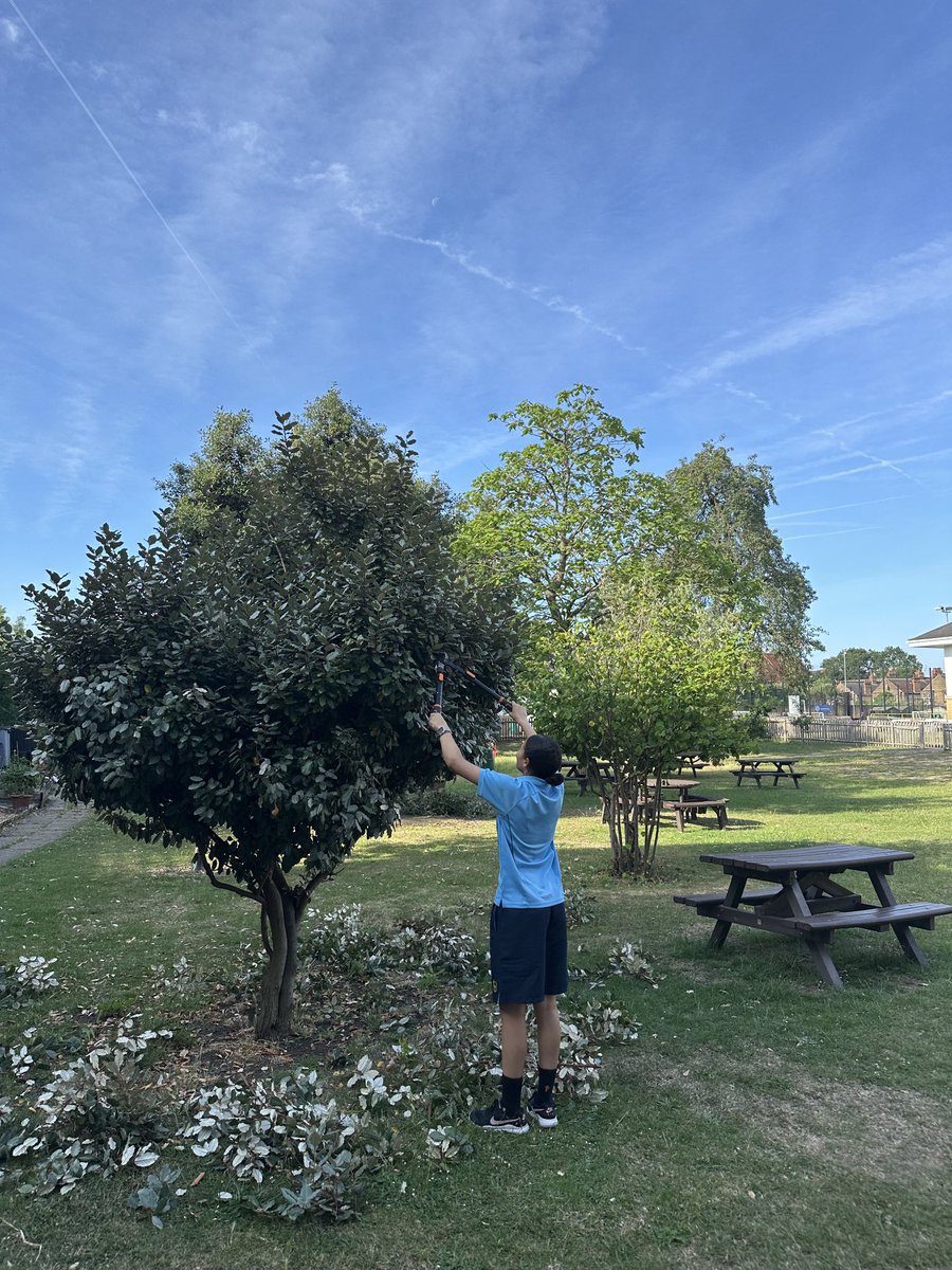 LaRetraiteSW12's tweet image. It’s a glorious morning here at La Retraite and gardening club is already underway #gardening #sustainability 😎