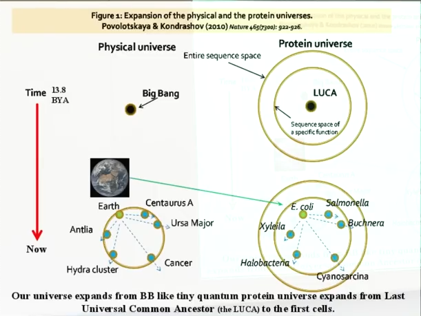 after examining this illustration are you able to tell me the path you're own?

#protein #bigbang #earth #physical #space