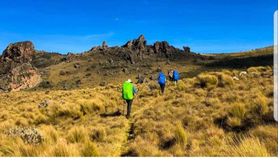 🌋🇺🇬 Ever hiked inside an extinct volcano?
Welcome to #MountElgonNationalPark home to the world’s largest volcanic caldera, ancient caves, waterfalls &amp; untamed beauty.
No crowds. Just pure adventure. 🥾🌿✨
#MountElgon #ExploreUganda #HiddenGem