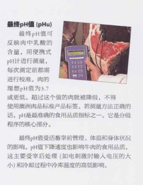 通常意义上，购买牛肉的前提是烹饪方式。
中式：炖煮、火锅烫（涮）、馅儿料、烧烤
西式：煎制（牛排）、烤制（BBQ）、汉堡饼

中式烹饪，对牛肉品质非常宽容，老嫩皆可煮。

西式烹饪，各国都有官方标准。
判别一块肉的等次，肉眼可见的：
霜降纹、肉色、脂肪色、肉质（紧致度）

借助工具：PH值。