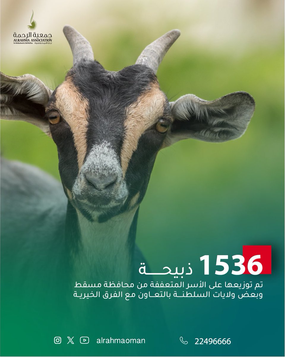 ✨ 1536 ذبيحة وُزِّعت على الأسر المتعففة في مسقط وعددٍ من ولايات السلطنة، بالتعاون مع الفرق الخيرية، لتكون فرحةً في القلوب وبركةً في البيوت 🐏