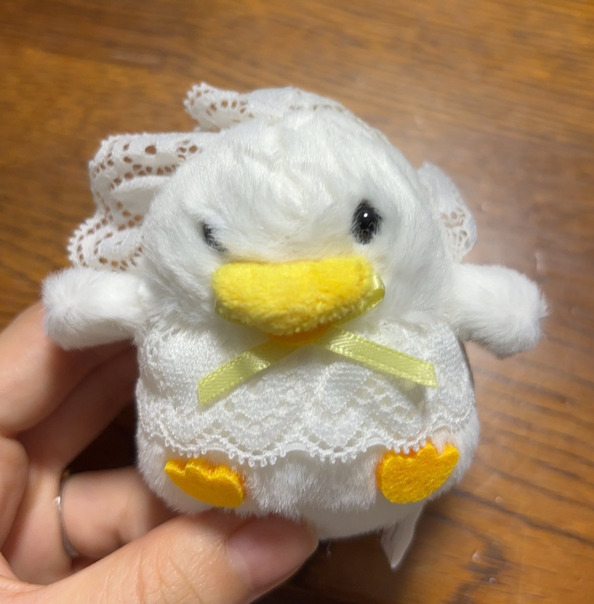 ruberin3's tweet photo. あひるの赤ちゃん
寝癖爆発‼️ https://t.co/NLDHjBvuDR