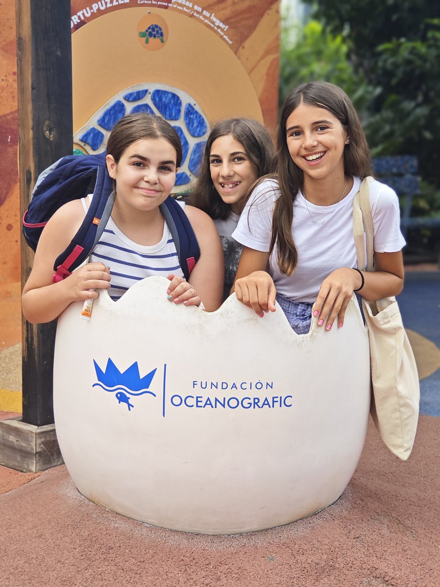 Colegio FEC de Jesús tweet media