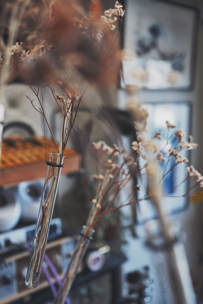 Kazuma Okabayashi༄ (@okbyskzm) on Twitter photo 