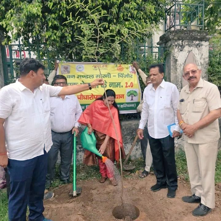 PujaVidhani's tweet image. पंचकूला चंडीगढ़ में मेयर कांफ्रेंस के दूसरे दिन वन मंडल मोरनी - पिंजौर में आयोजित &quot;एक पेड़ माँ के नाम&quot; अभियान के अंतर्गत मैंने अपनी माताजी के सम्मान में एक पेड़ रोपित किया।

#महापौर_बिलासपुर 
#एक_पेड़_माँ_के_नाम #TreeForMother #EnvironmentProtection #greenindia
#MayorConference