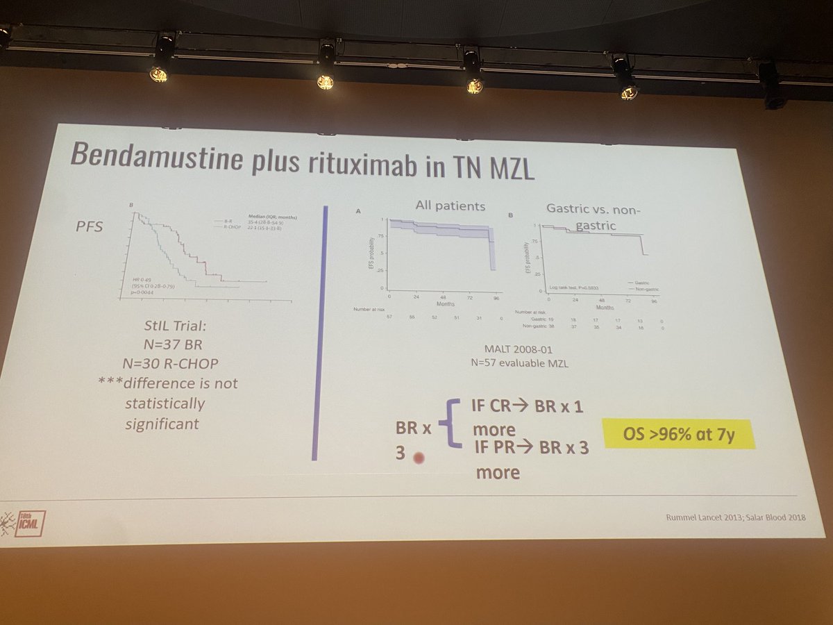 Kate Cwynarski (@cwynkate) on Twitter photo Fantastic Marginal Zone Lymphoma ‘Meet the Professor’ session <a href="/SoniSmithMD/">Soni Smith MD</a>
An excellent oversight of factors influencing management decisions 👏
#ICML2025 Fantastic Marginal Zone Lymphoma ‘Meet the Professor’ session <a href="/SoniSmithMD/">Soni Smith MD</a>
An excellent oversight of factors influencing management decisions 👏
#ICML2025