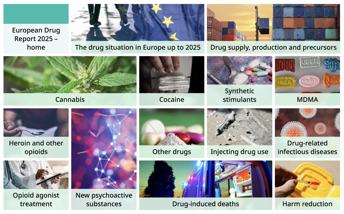 📈 ¿Qué está pasando con las drogas en Europa?

El nuevo informe #EUDA2025 analiza tendencias y amenazas en 29 países.

💡 Con más de 100 gráficos interactivos para entender mejor los retos que enfrentamos.

🔗 Dale un vistazo: euda.europa.eu/publications/e… 

#SaludPública #Drogas