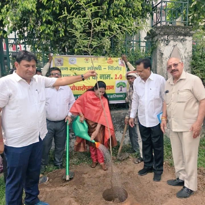 PujaVidhani's tweet image. पंचकूला चंडीगढ़ में मेयर कांफ्रेंस के दूसरे दिन वन मंडल मोरनी - पिंजौर में आयोजित &quot;एक पेड़ माँ के नाम&quot; अभियान के अंतर्गत मैंने अपनी माताजी के सम्मान में एक पेड़ रोपित किया।

#महापौर_बिलासपुर 
#एक_पेड़_माँ_के_नाम #TreeForMother #EnvironmentProtection #greenindia
#MayorConference