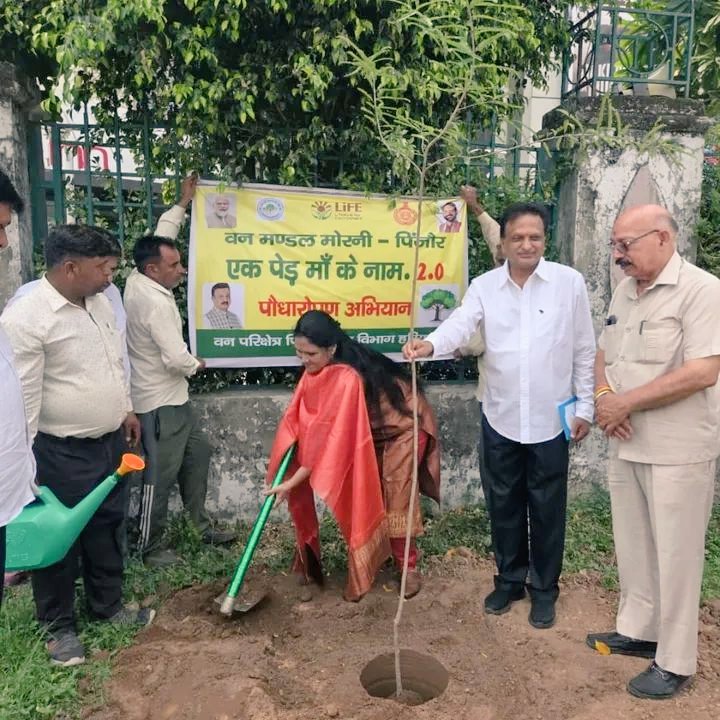 PujaVidhani's tweet image. पंचकूला चंडीगढ़ में मेयर कांफ्रेंस के दूसरे दिन वन मंडल मोरनी - पिंजौर में आयोजित &quot;एक पेड़ माँ के नाम&quot; अभियान के अंतर्गत मैंने अपनी माताजी के सम्मान में एक पेड़ रोपित किया।

#महापौर_बिलासपुर 
#एक_पेड़_माँ_के_नाम #TreeForMother #EnvironmentProtection #greenindia
#MayorConference