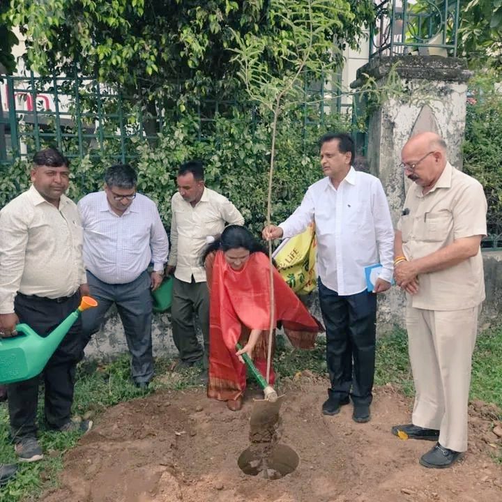 PujaVidhani's tweet image. पंचकूला चंडीगढ़ में मेयर कांफ्रेंस के दूसरे दिन वन मंडल मोरनी - पिंजौर में आयोजित &quot;एक पेड़ माँ के नाम&quot; अभियान के अंतर्गत मैंने अपनी माताजी के सम्मान में एक पेड़ रोपित किया।

#महापौर_बिलासपुर 
#एक_पेड़_माँ_के_नाम #TreeForMother #EnvironmentProtection #greenindia
#MayorConference