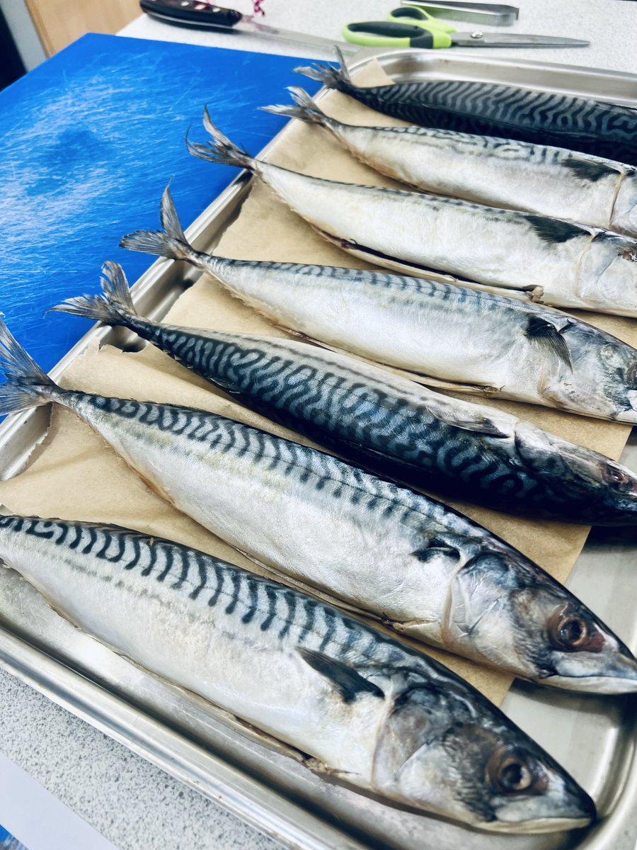 Leading the way <a href="/LoveBritishFood/">Love British Food</a> change-maker &amp; member of our Education Working Group <a href="/VictoriaBuob/">Victoria Buob-Aldorf</a>:

Fish masterclass for 20 yr 10s at Bartholomew school, teaching them about sourcing British fish, filleting and cooking mackerel. 

Her words: "<a href="/LoveBritishFood/">Love British Food</a> rocks!"
