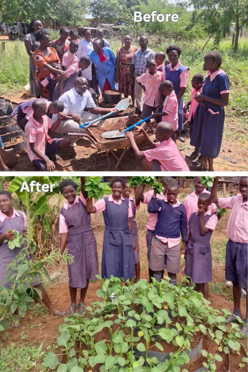 BIBA_Kenya's tweet image. From bare soil to a thriving garden!
At Karethani DEB School for Special Needs, we’ve built an inclusive demo farm in Tharaka Nithi growing food, agroecological skills & hope.
Planted on 23rd May 2025
Witness the transformation!
#Agroecology #Youth #TharakaNithi