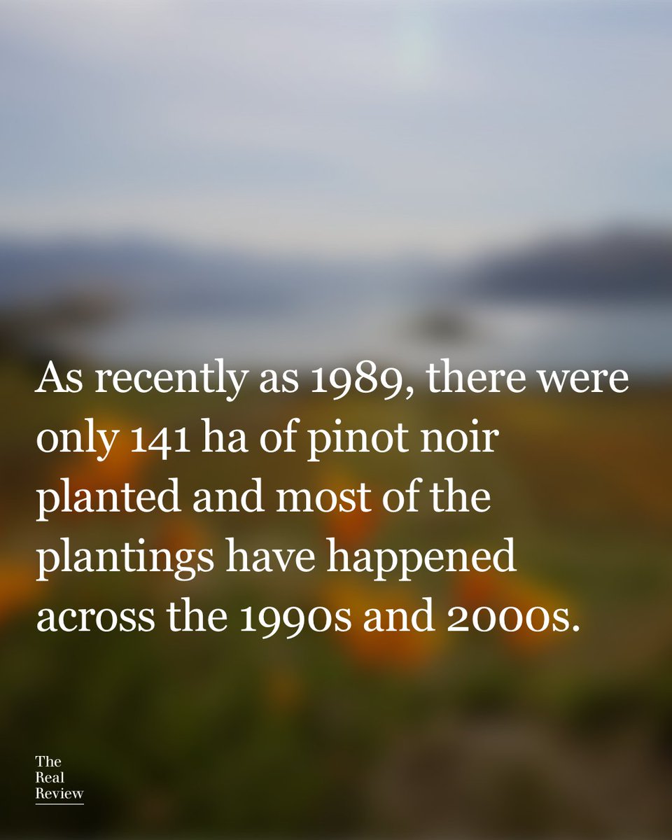 Pinot noir is undeniably New Zealand’s red grape variety. To illustrate this point, there are 5,613ha of pinot noir planted whereas the next most common red variety, merlot, occupies 938ha of land.

Read the full article by Stephen Wong MW.

hubs.ly/Q03szWsS0