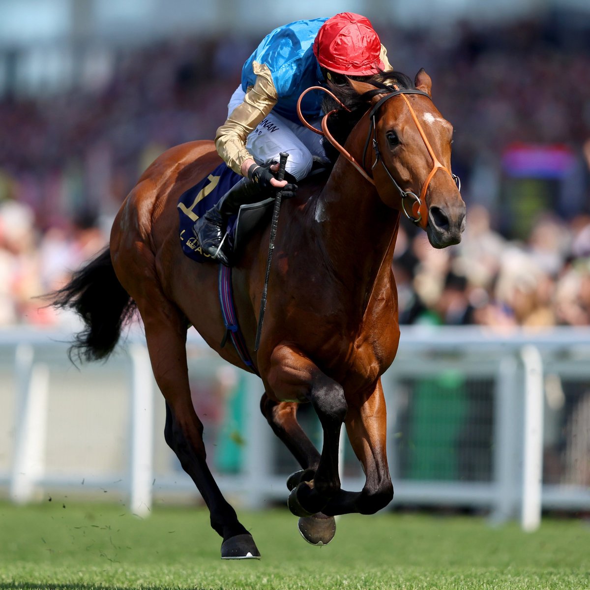 ITBA (@itba_official) on Twitter photo ๐ฉCongratulations to ๐ฐ๐๐๐๐ ๐๐๐๐
๐๐๐๐๐๐ on Day 1 of <a href="/AscotRacecourse/">Ascot Racecourse</a>
โ๏ธ Field of Gold
โ๏ธ Ascending
โ๏ธ Haatem
โ๏ธ French Master
#irishbred #royalascot #ascot ๐ฉCongratulations to ๐ฐ๐๐๐๐ ๐๐๐๐
๐๐๐๐๐๐ on Day 1 of <a href="/AscotRacecourse/">Ascot Racecourse</a>
โ๏ธ Field of Gold
โ๏ธ Ascending
โ๏ธ Haatem
โ๏ธ French Master
#irishbred #royalascot #ascot