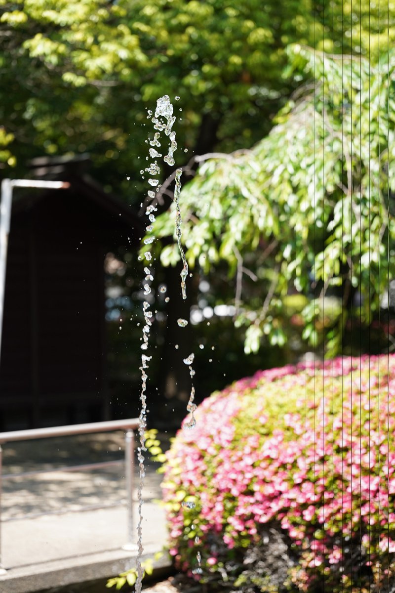 mt_tak's tweet image. 水辺はやや涼しかったです。

#a7c #sigmalens