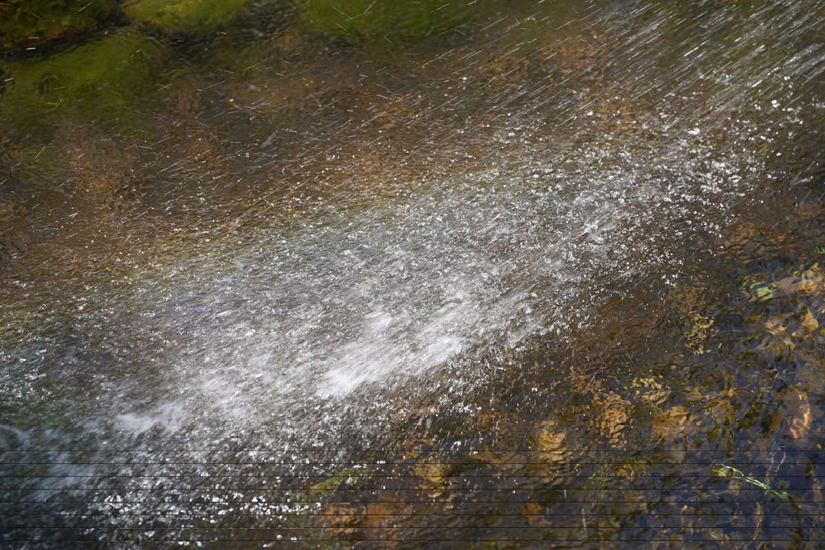 mt_tak's tweet image. 水辺はやや涼しかったです。

#a7c #sigmalens