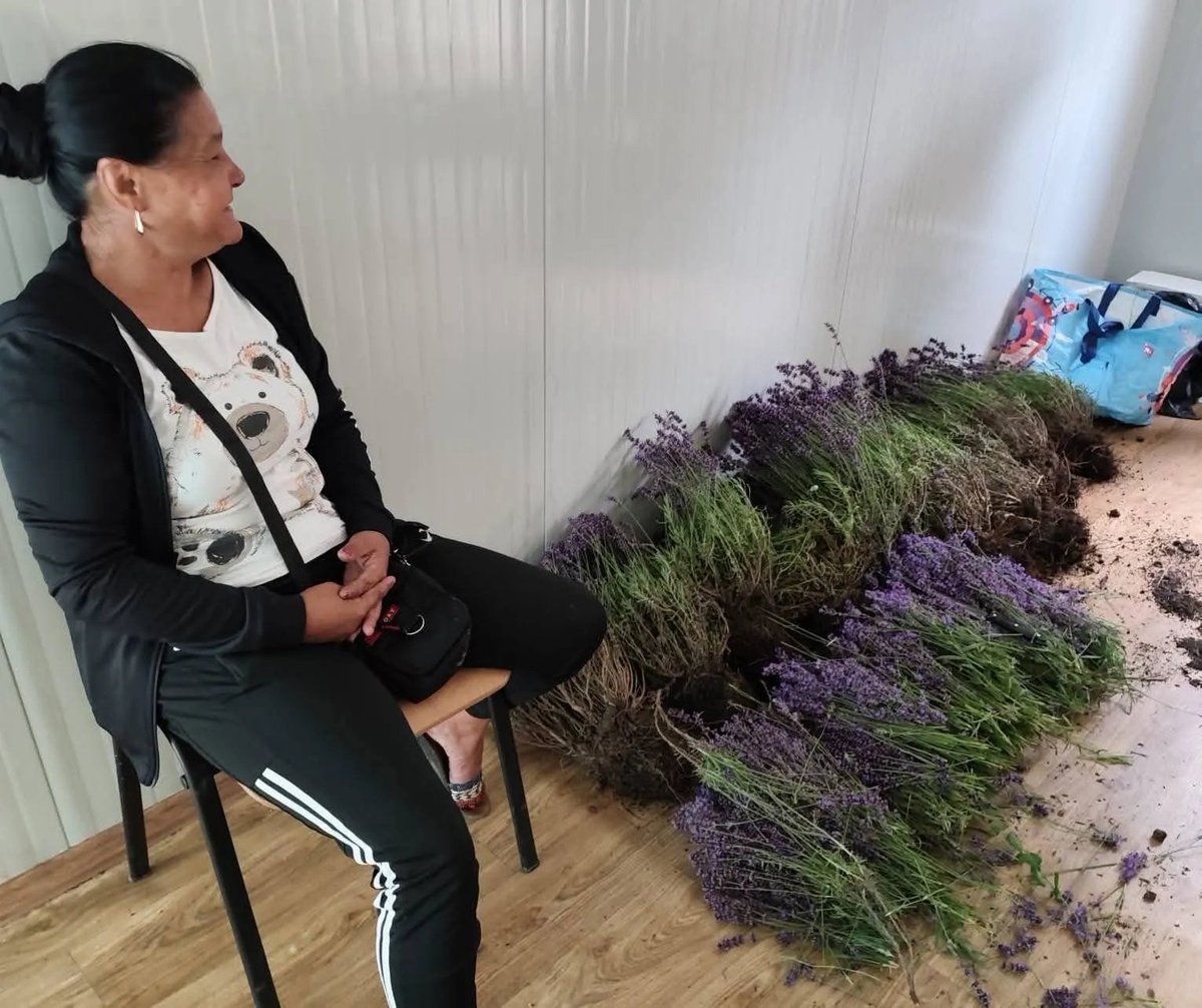 DinVrancea's tweet photo. A furat lavandă de 2 ori în 30 de minute.
A primit 1.500 lei amendă, pe care n-o va plăti.
Furtul repetat ar trebui să însemne muncă în folosul comunității și închisoare, nu o simplă foaie uitată în buzunar. https://t.co/1JbWghiQmP
