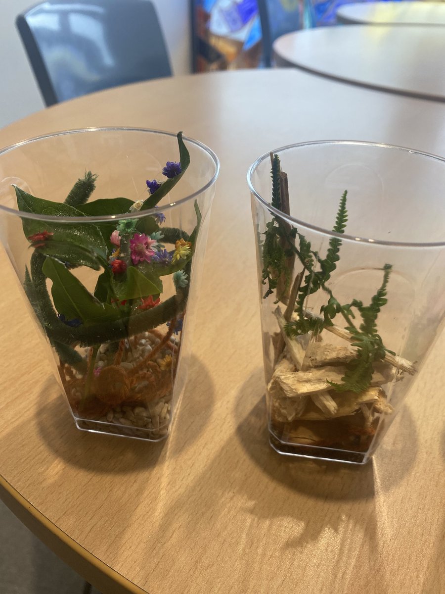 Cheetham Academy (@cheethamacademy) on Twitter photo Guess the subject! (Collage jars to classify the four different types of plants) #year6 Guess the subject! (Collage jars to classify the four different types of plants) #year6
