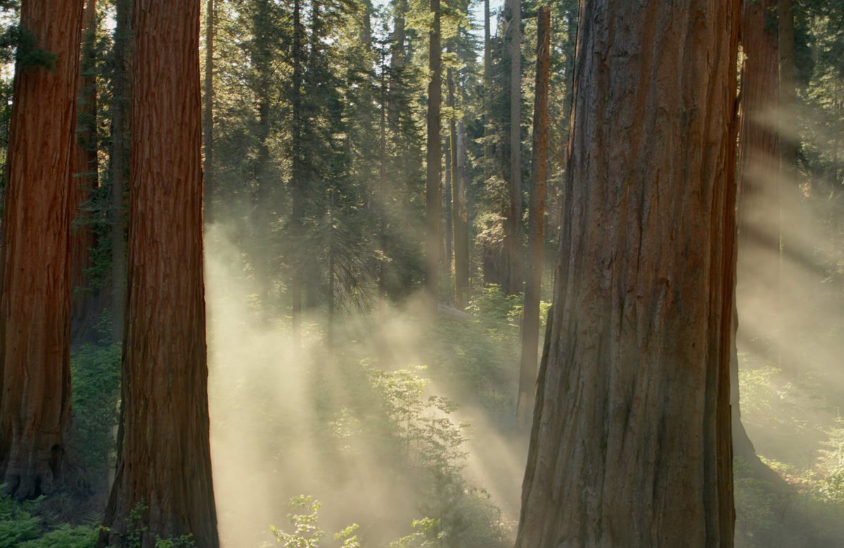 kotadesignlogic's tweet image. 案件が増えてきた。