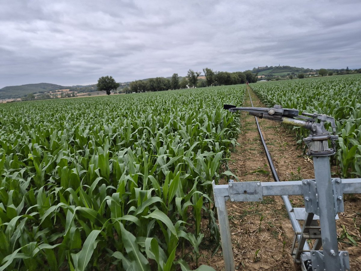 Carriere thierry (@farmer815) on Twitter photo Tous les jours ,je me tue à la tâche pour stocker du carbone et faire vivre ma 👪 .
<a href="/hugoclement/">Hugo Clément</a> 🌽🌽 💚💚 Tous les jours ,je me tue à la tâche pour stocker du carbone et faire vivre ma 👪 .
<a href="/hugoclement/">Hugo Clément</a> 🌽🌽 💚💚