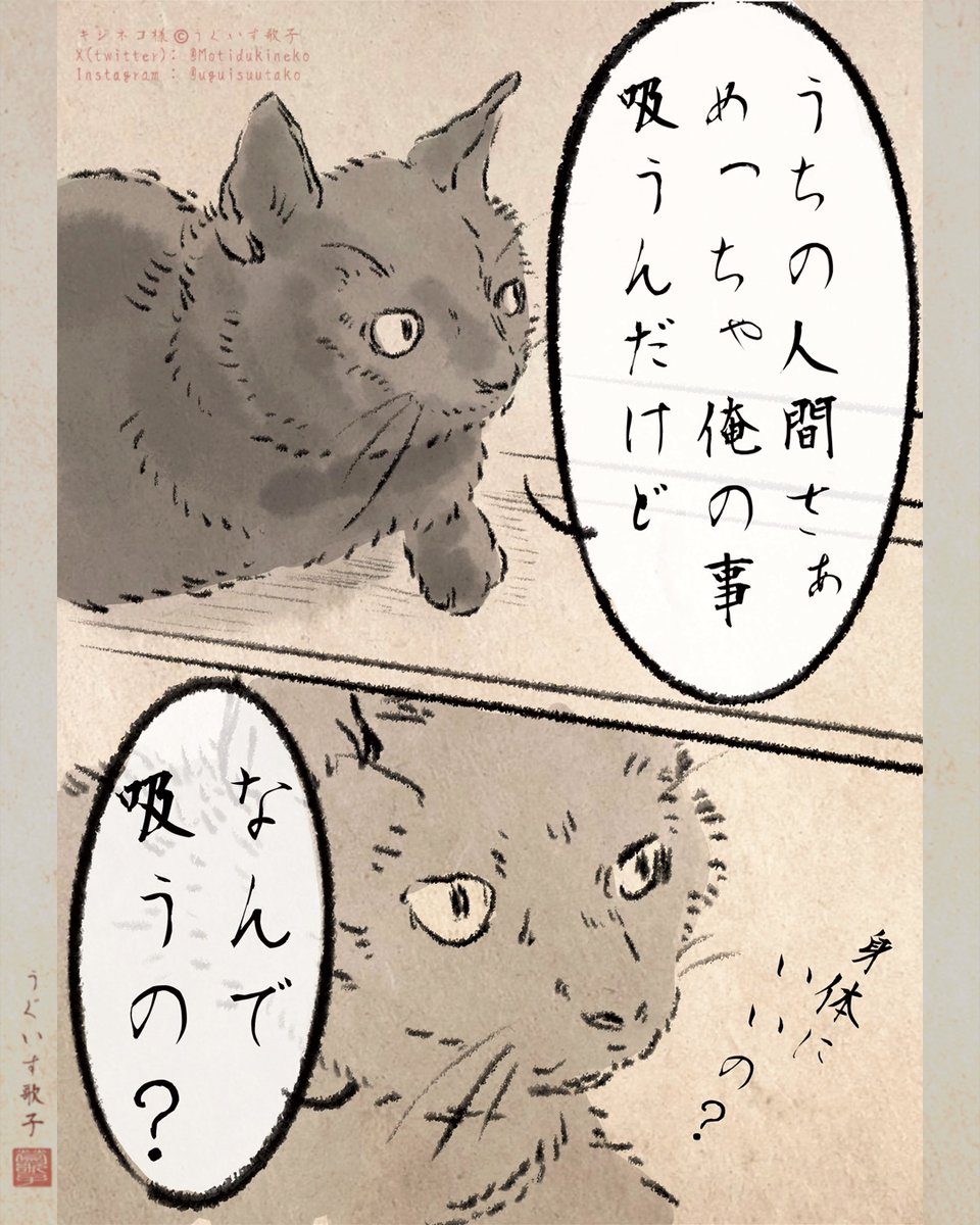 キジネコ様 on X: 
