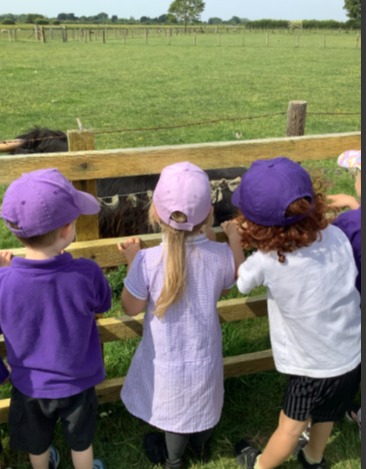 Reception had a fabulous time at Hardy's Animal Farm yesterday.