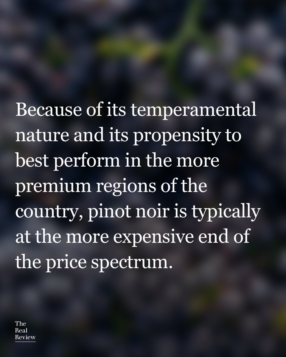 Inexpensive, quality pinot noir is hard to come by, but as plantings increase, volumes increase, and there needs to be an outlet for the ‘declassified’ wines.

Read the full article by Aaron Brasher.

hubs.ly/Q03szW2V0

#therealreview #topvaluewines #pinotnoir