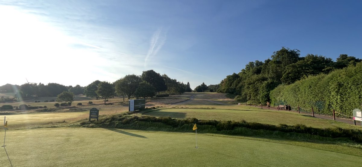 sam wardill tweet media