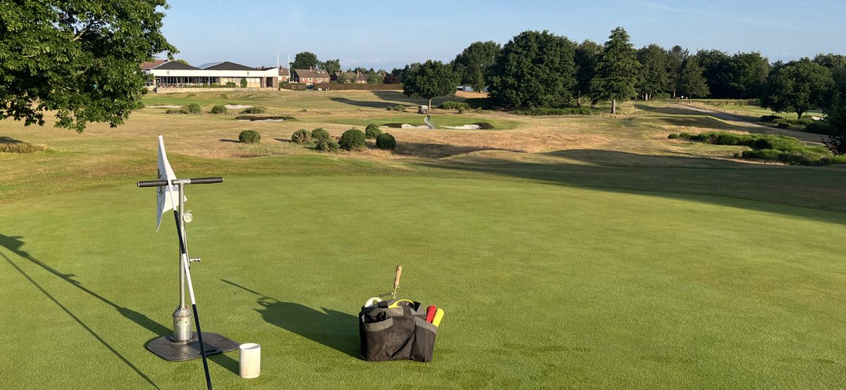 sam wardill tweet media