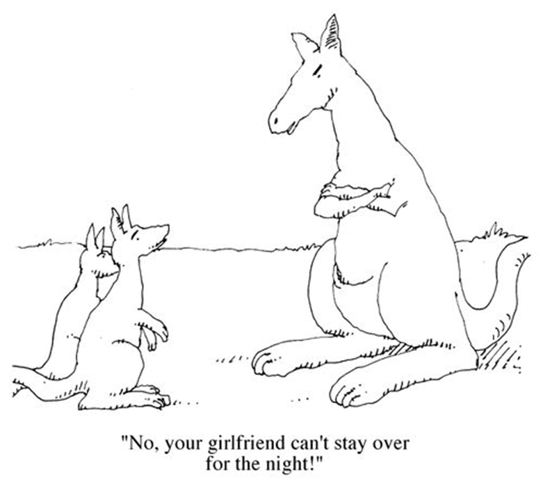 SykesStella's tweet photo. When did saying No become a No-No?
https://t.co/0Wi9tx5msA
#grumpyoldwomen #modenlife #doglife https://t.co/l42mwai0LV