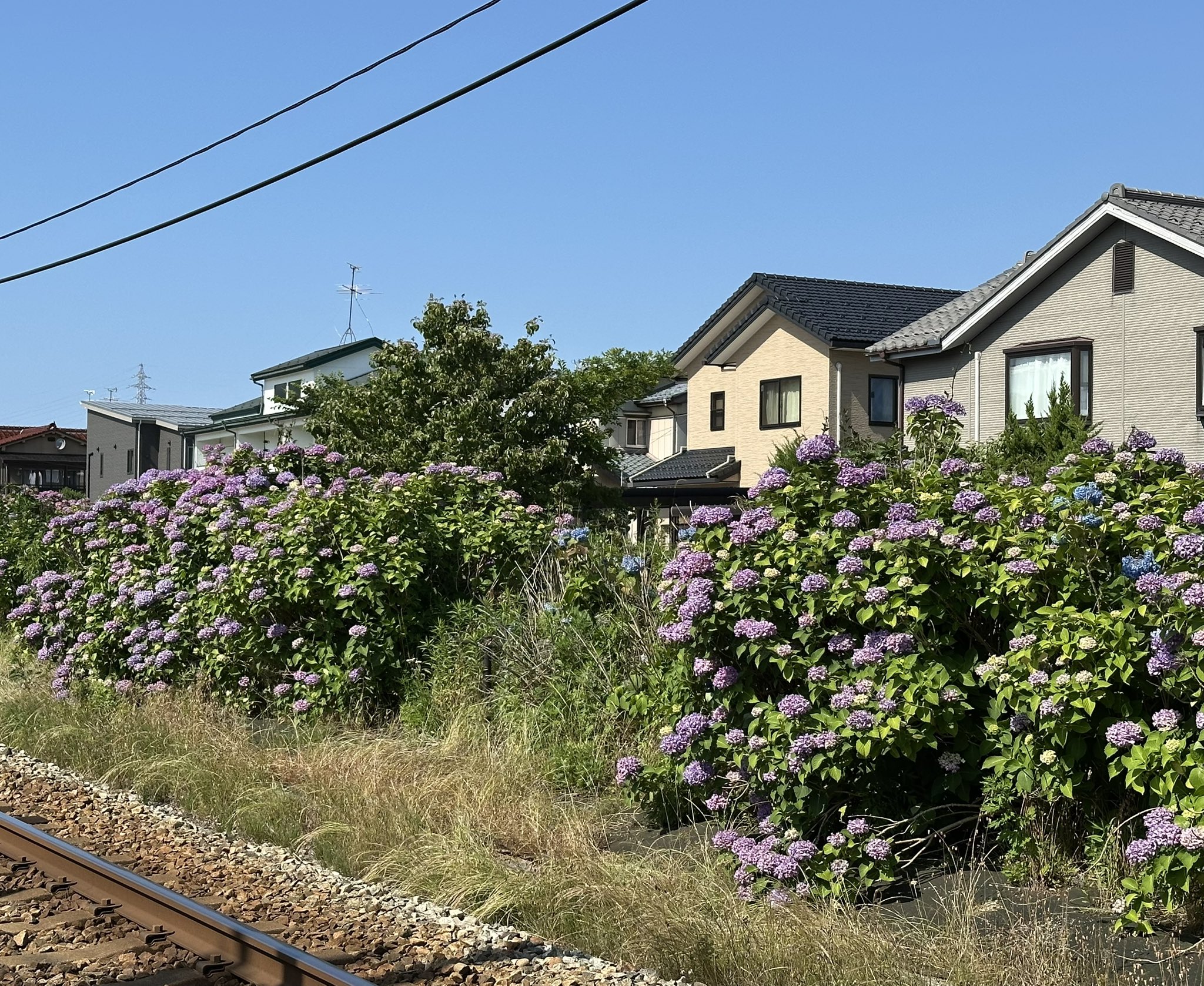 富山地鉄アテンダント【公式】 on X: 