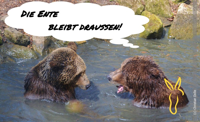 Eine #Freundschaft zwischen der #Ukraine und #Russland, wäre das nicht schön? Also gut, hier geht es um den #Bär Mykhailo und die #Bärin Katja im Alternativen Bärenpark in #Worbis. Aber vielleicht lernen wir Menschen ja irgendwann von ihnen.
eseltreiber.de/gehe/produkte/…