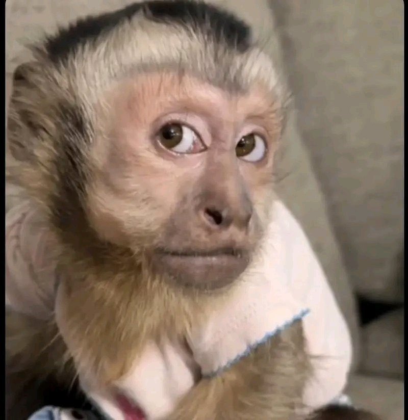 People are scared of checking on you because you beg a lot 
Kimu bibiri 😅😅 can you do me a favor