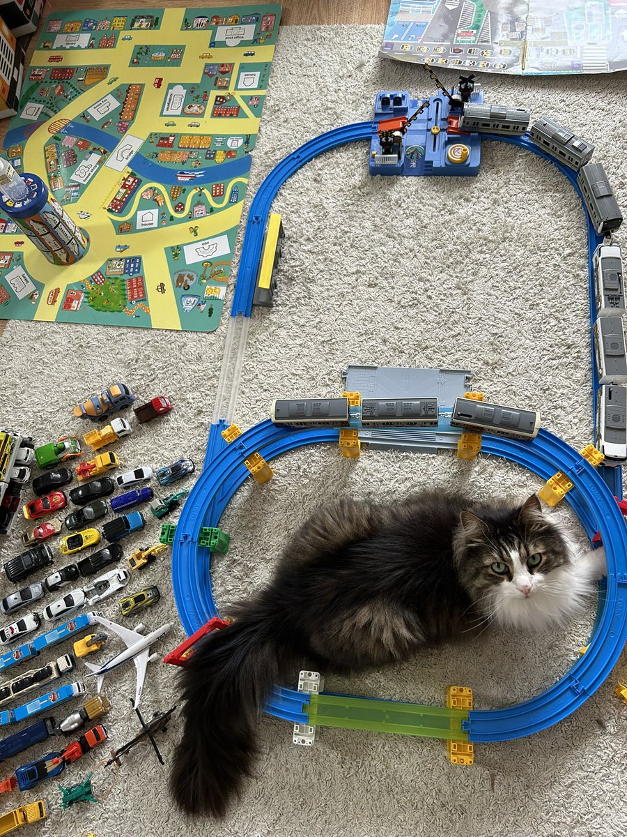 子どもが作った街のプラレールがねこ召喚の魔法陣だったようで🐈