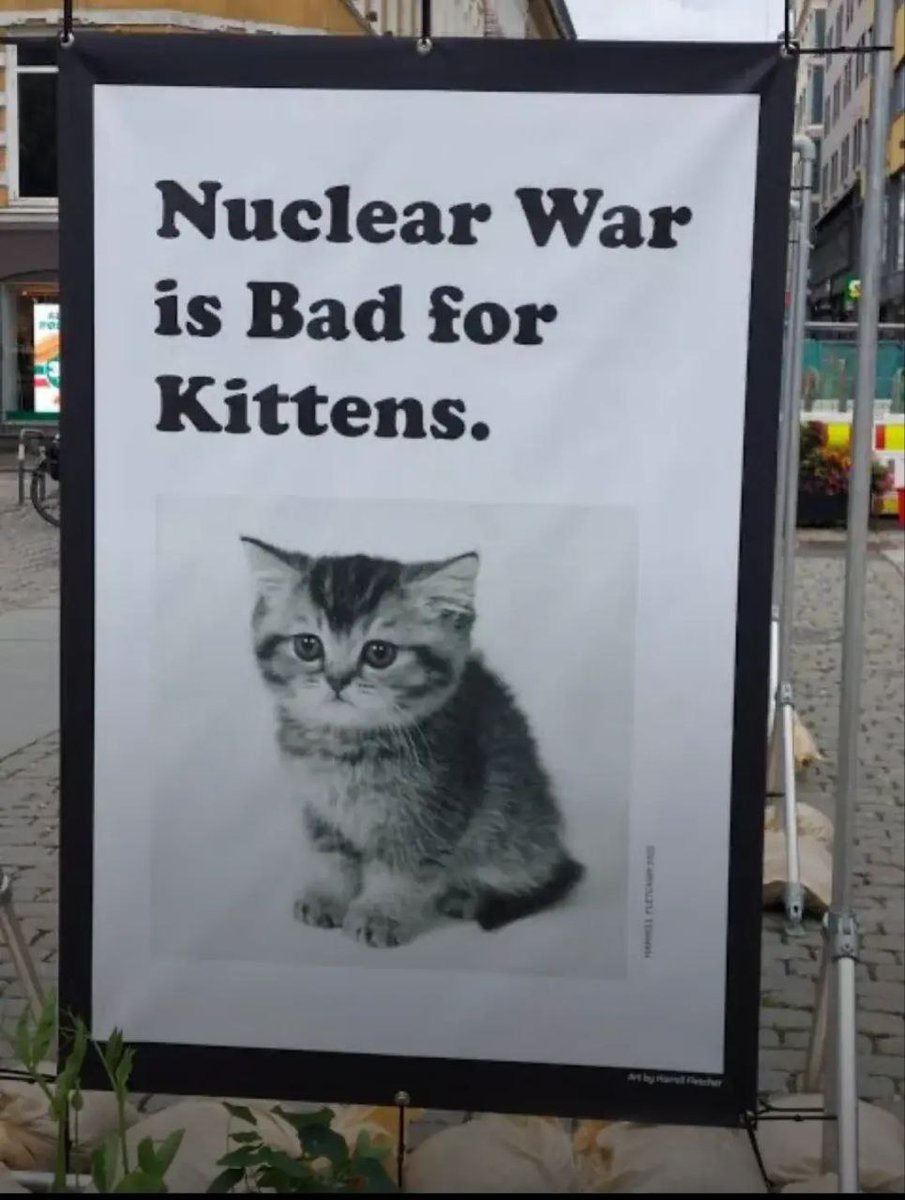 donald.pl tweet media