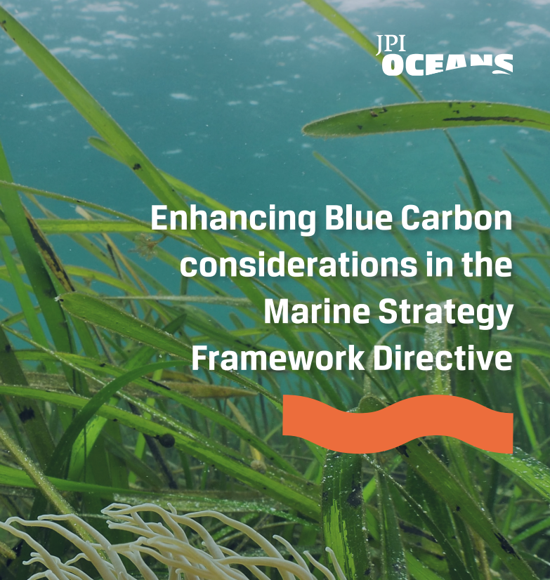 jpioceans's tweet photo. 🌊 New Policy Brief launched: enhancing blue carbon considerations in the Marine Strategy Framework Directive (MSFD)

🔗 https://t.co/yXMvK1s4zl

#BlueCarbon #MarinePolicy #MSFD #JPIOceans https://t.co/IzPRzRKfpK