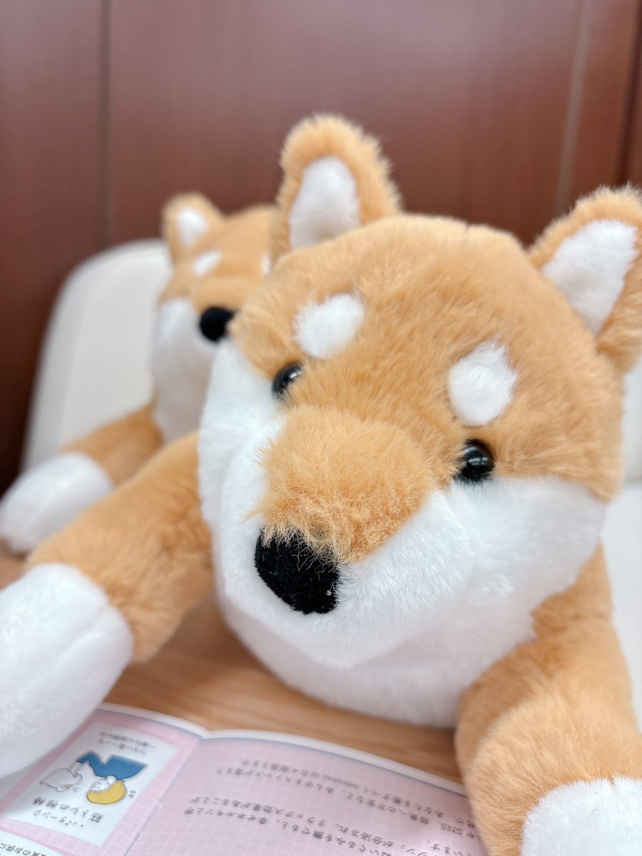 疲れたら一呼吸だよ🐶✨